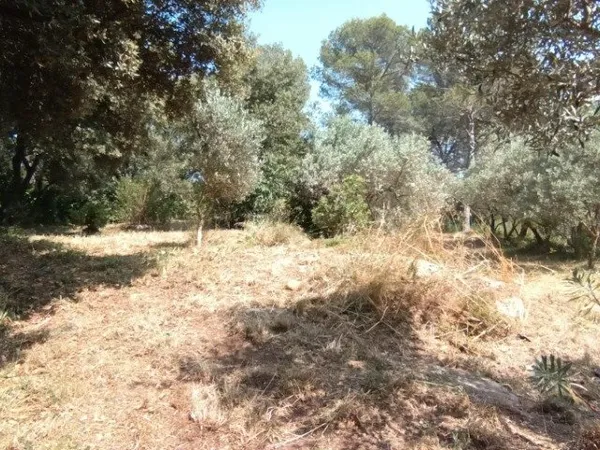 Terrain 1000 m² 