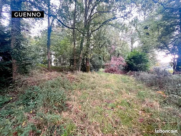 Terrain 9033 m² MONTAUBAN DE BRETAGNE 