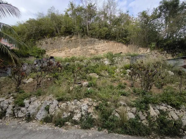 Propriété 