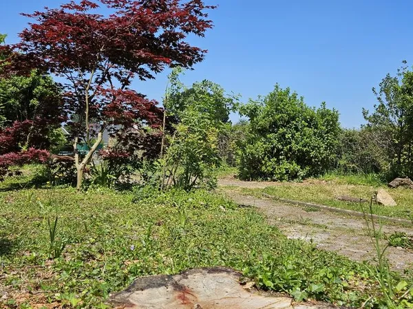 Terrain 256 m² Grandchamp-des-Fontaines 