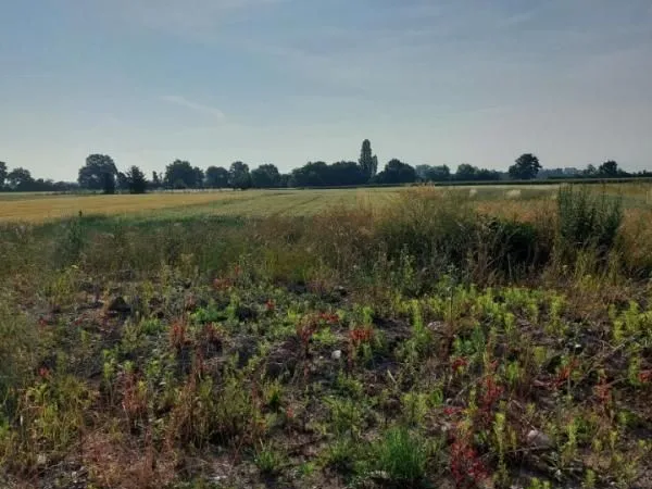 Terrain 439 m² Houssen 