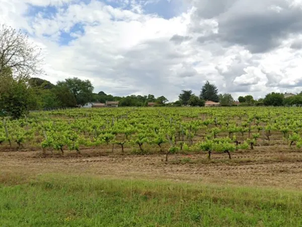 Terrain 460 m² 