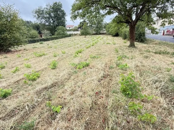 Terrain 1780 m²