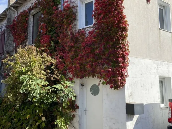 Duplex 2 pièces 40 m² 