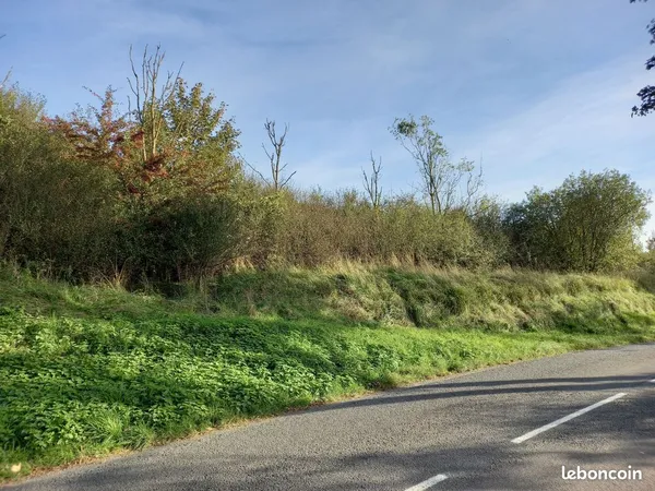 Vends terrain boisé 