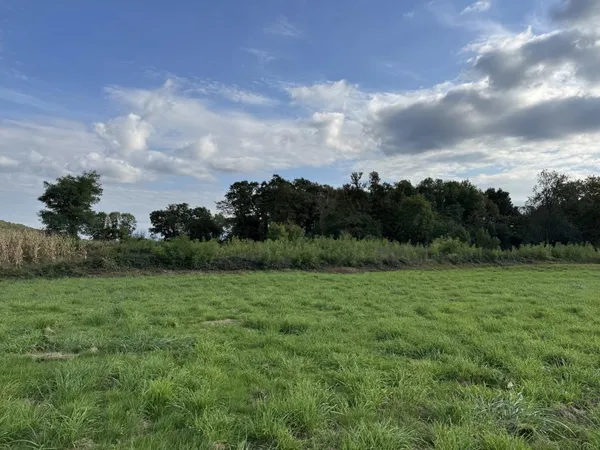 Terrain à bâtir 