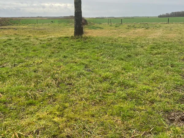 SONCHAMP 10 mn Rambouillet TERRAIN A BATIR 