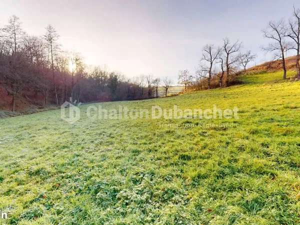 Maison 6 pièces 170 m² 