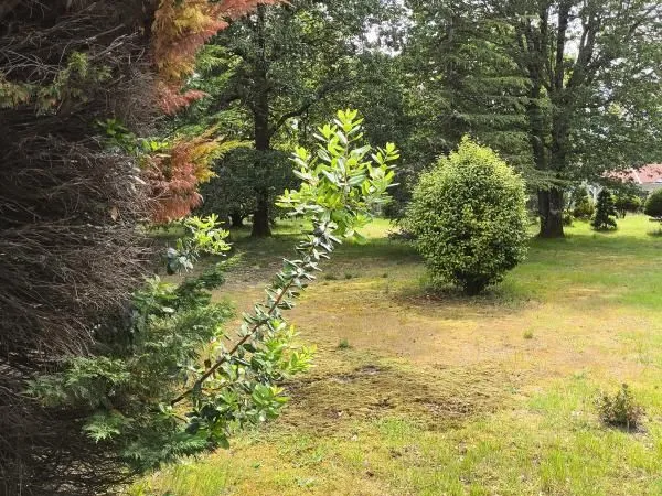 Terrain 700 m² Parentis En Born 