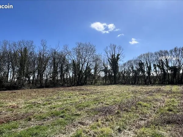 Terrain 3 775 m² Muret 
