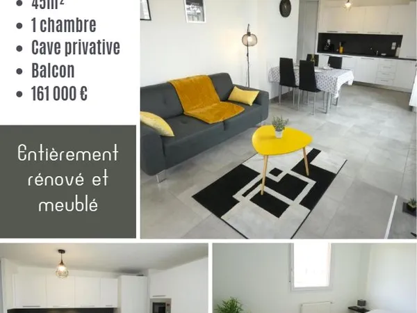 Appartement 2 pièces - 45m² entièrement rénové et meublé + cave privative 