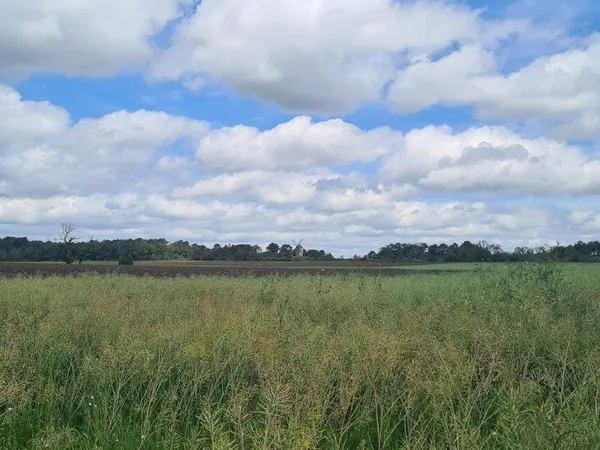 Propriété 