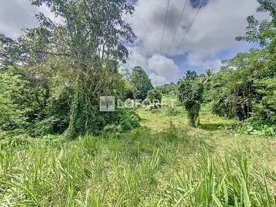 Terrain Lot 4 Capesterre Belle Eau 2189 m² 