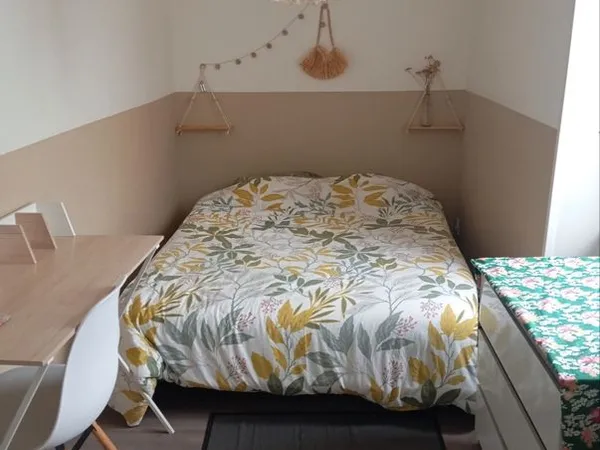 Appartement Location Limoges 2p  550€