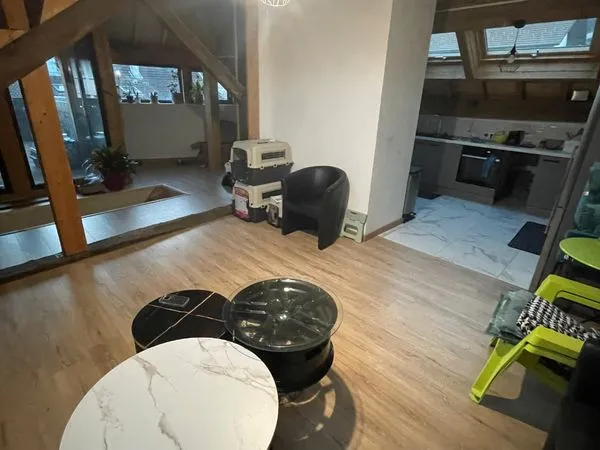Magnifique T4 duplex meublé 