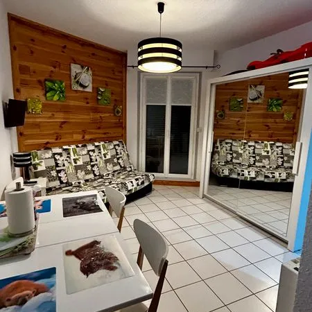 Studio entièrement rénové avec balcon Auris station 