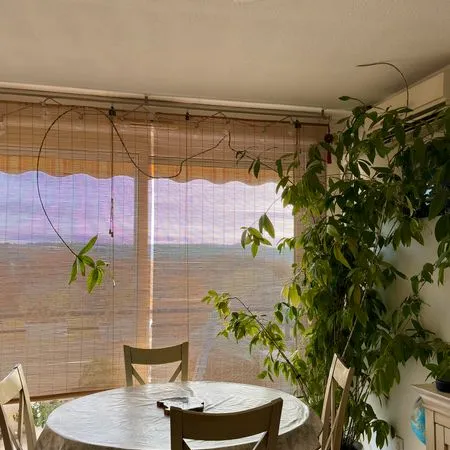 T3 de 60 m² + Terrasse 20 m² + Parking sous-sol 