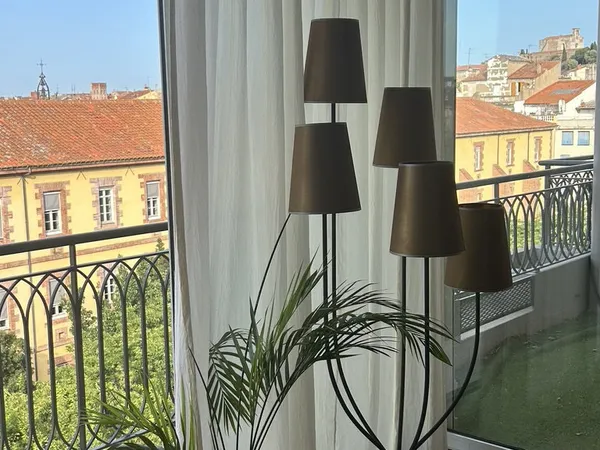 Perpignan centre : superbe duplex F3 au dernier étage, terra 