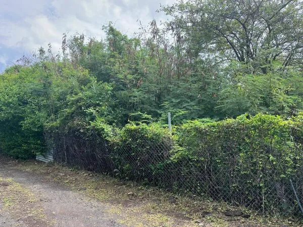 Terrain 584 m² 