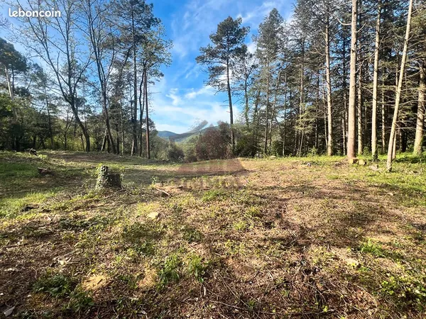 Terrain 4151 m² GAGNIERES 