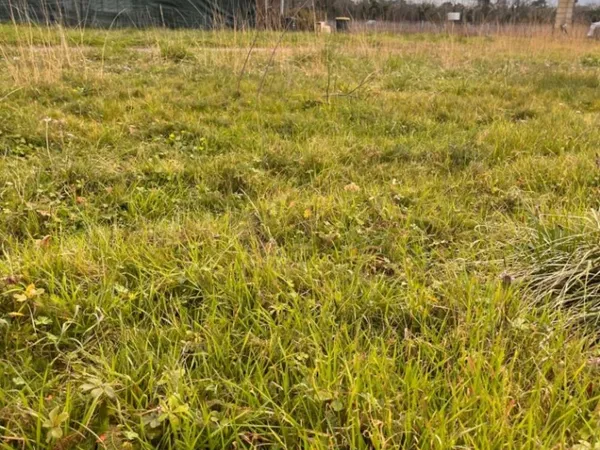 Terrain 365 m² 