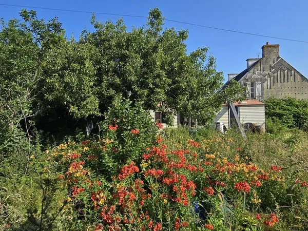 Propriété 60 m² 