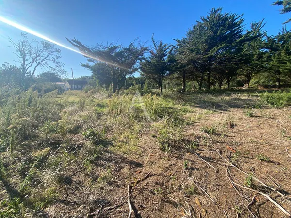 Terrain 435 m² 