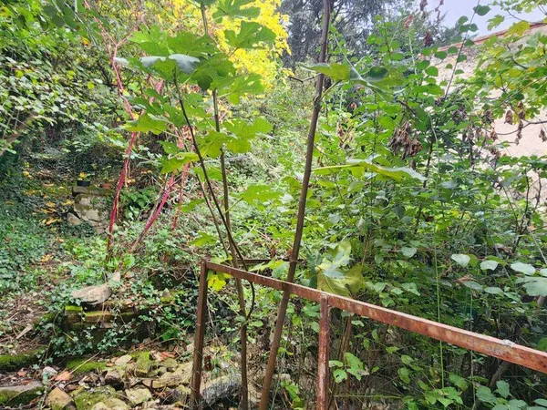 Maison 4 pièces 95 m² 