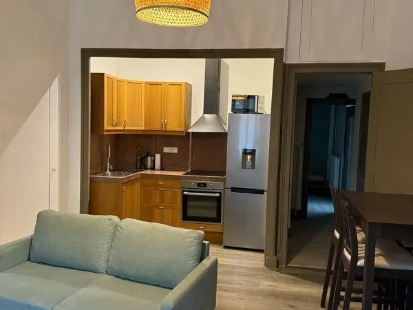 T2 meublé 45 m² - Grenoble quartier Hyper-Centre 