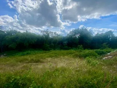 Terrain àbâtir - Terreville 