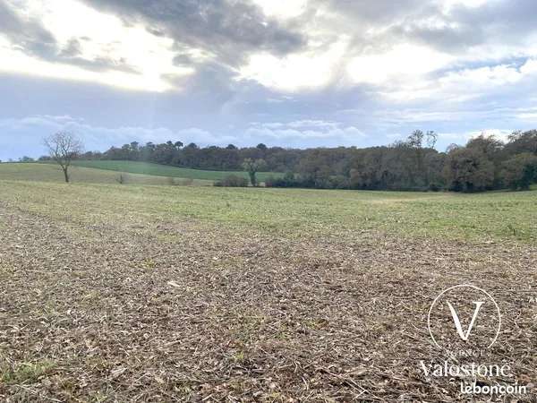 Terrain 11460 m² Castelnau-Tursan 