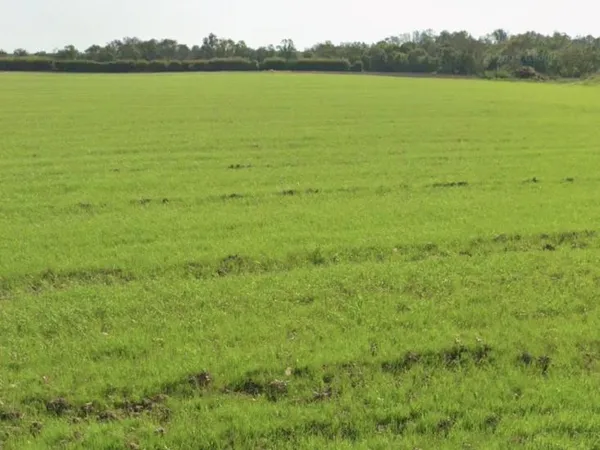 Terrain constructible à Angliers - 335 m² 