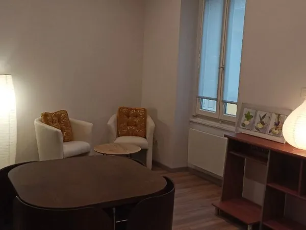 Beau studio meublé rénové 