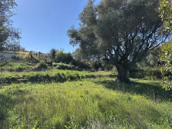 Terrain 620 m² 