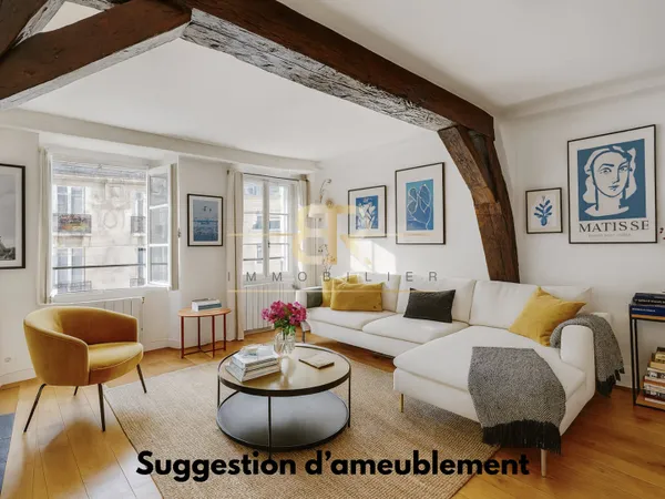 TERRASSE / SECTORISATION HENRI IV / LOFT 