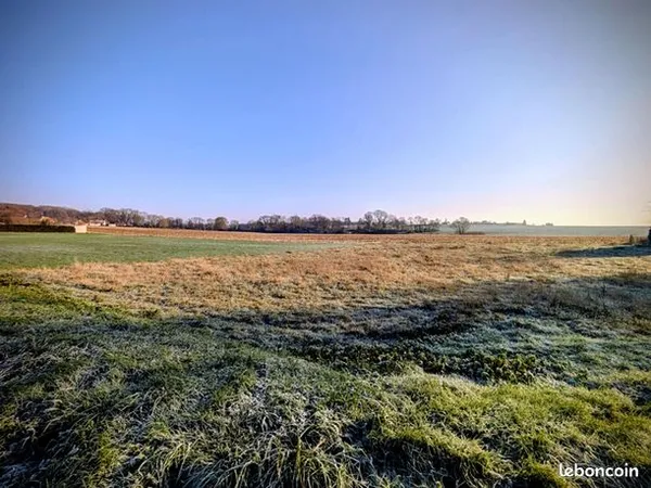 Terrain 1000 m² 