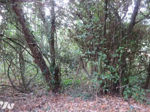 Terrain 1315 m² 