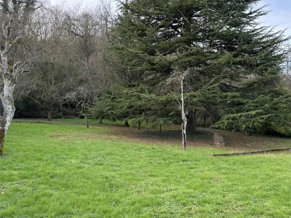 Terrain 2561 m² 