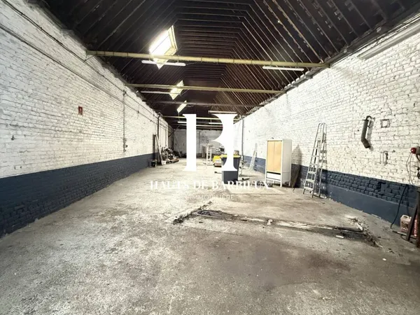 Local professionnel 253 m² 