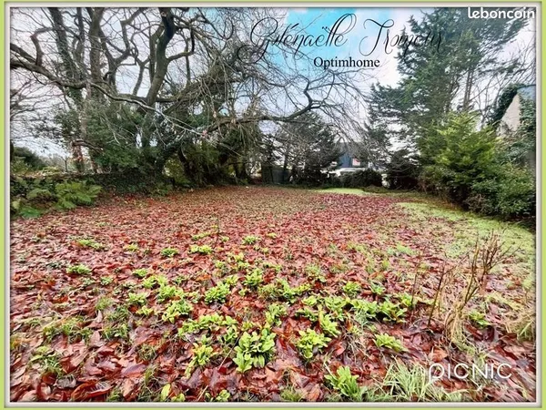 Terrain 659 m² Saint Sauveur 