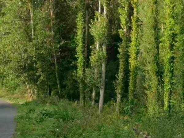 Terrain 839 m² 