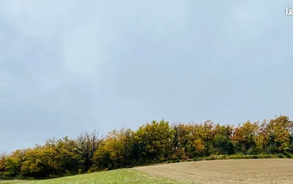 Parcelle boisée 4400m2 