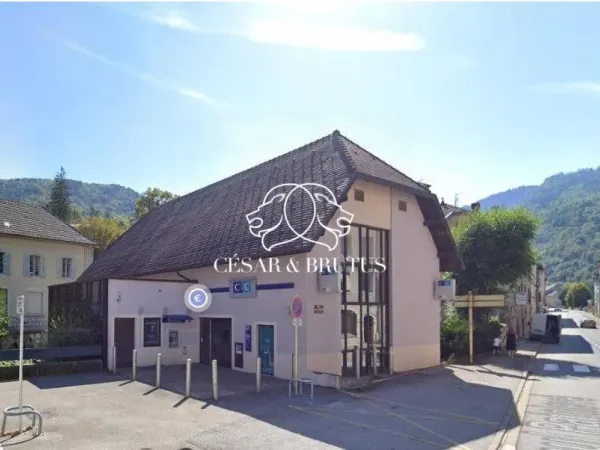 Immobilier Professionnel à vendre Nantua 