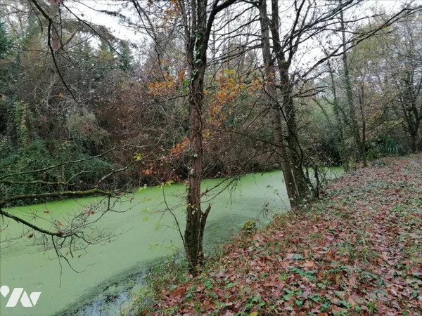 Bien agricole 3863 m² 