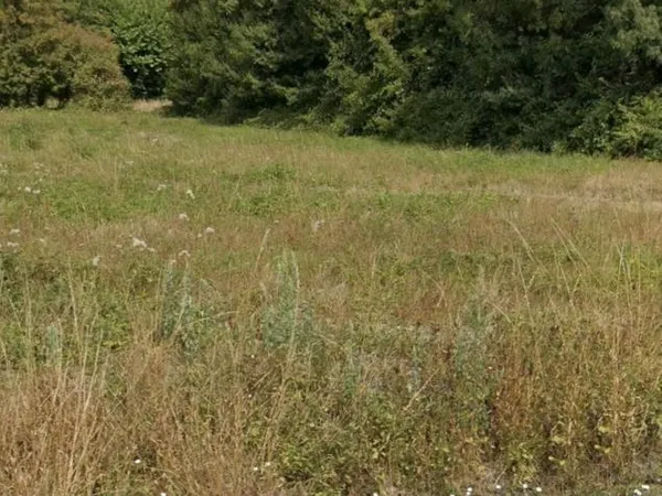 Terrain constructible viabilisé - 227 m² - Aigrefeuille 