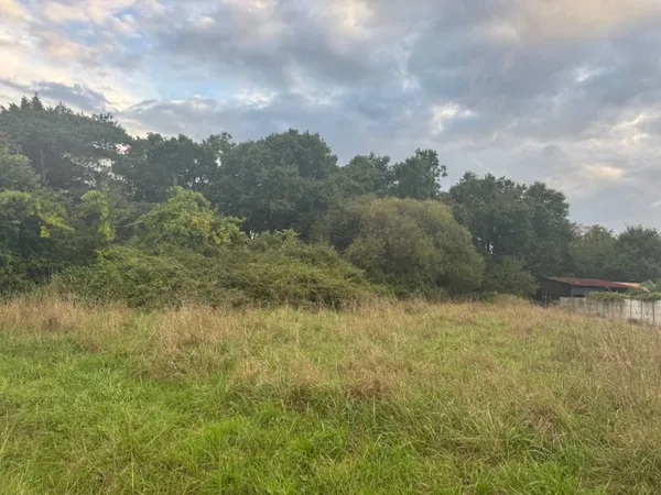 Terrain 550 m² 