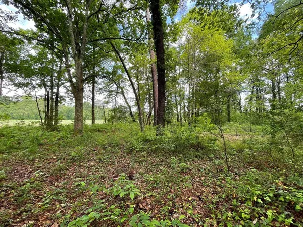 Propriété 127 m² 