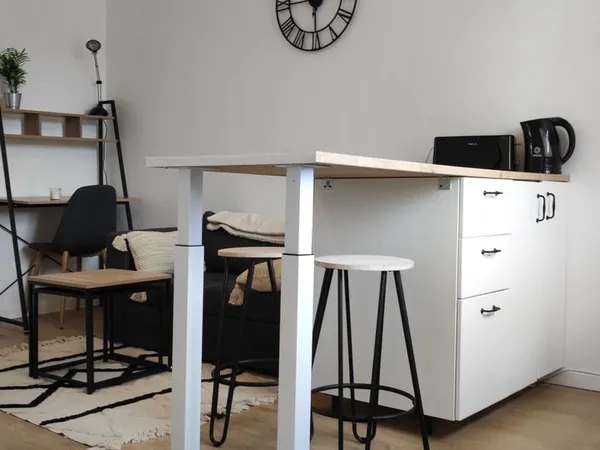 2 pièces rénové plein centre 