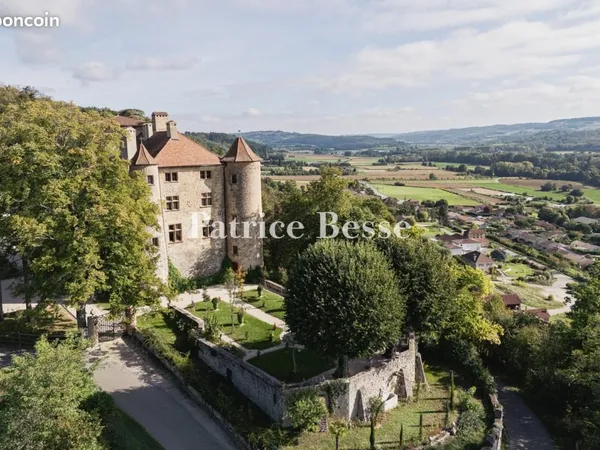 Château 20 pièces 963 m² 