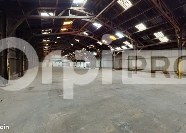 Local commercial 1000 m² 